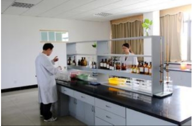 Laboratory analysis